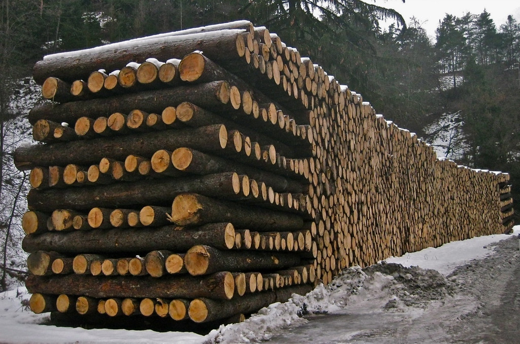 Tensione Prezzi attuali sul Legname